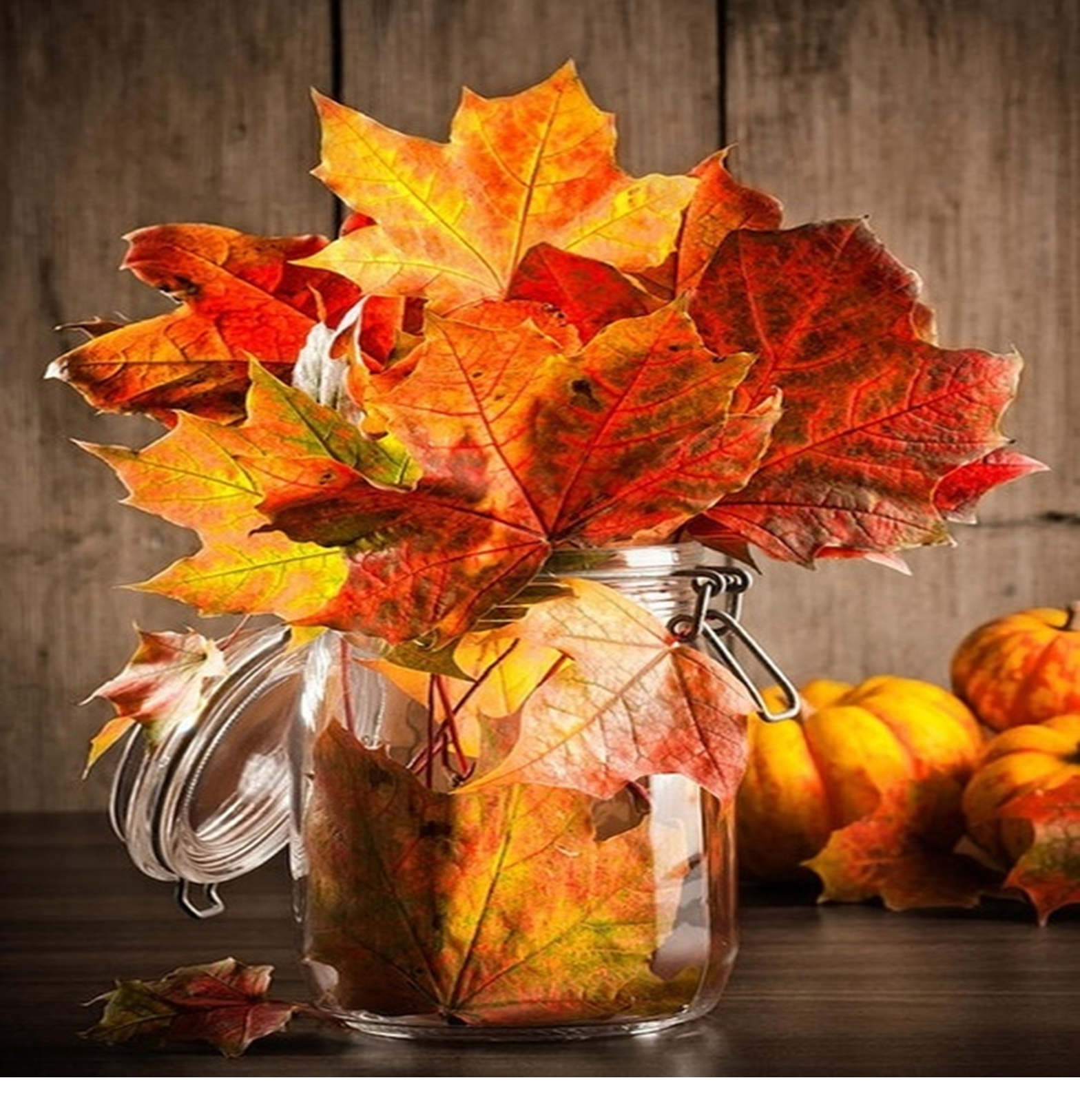 Automne